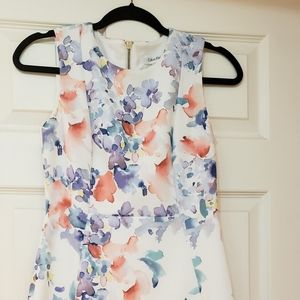 Calvin Klein Sheath Dress